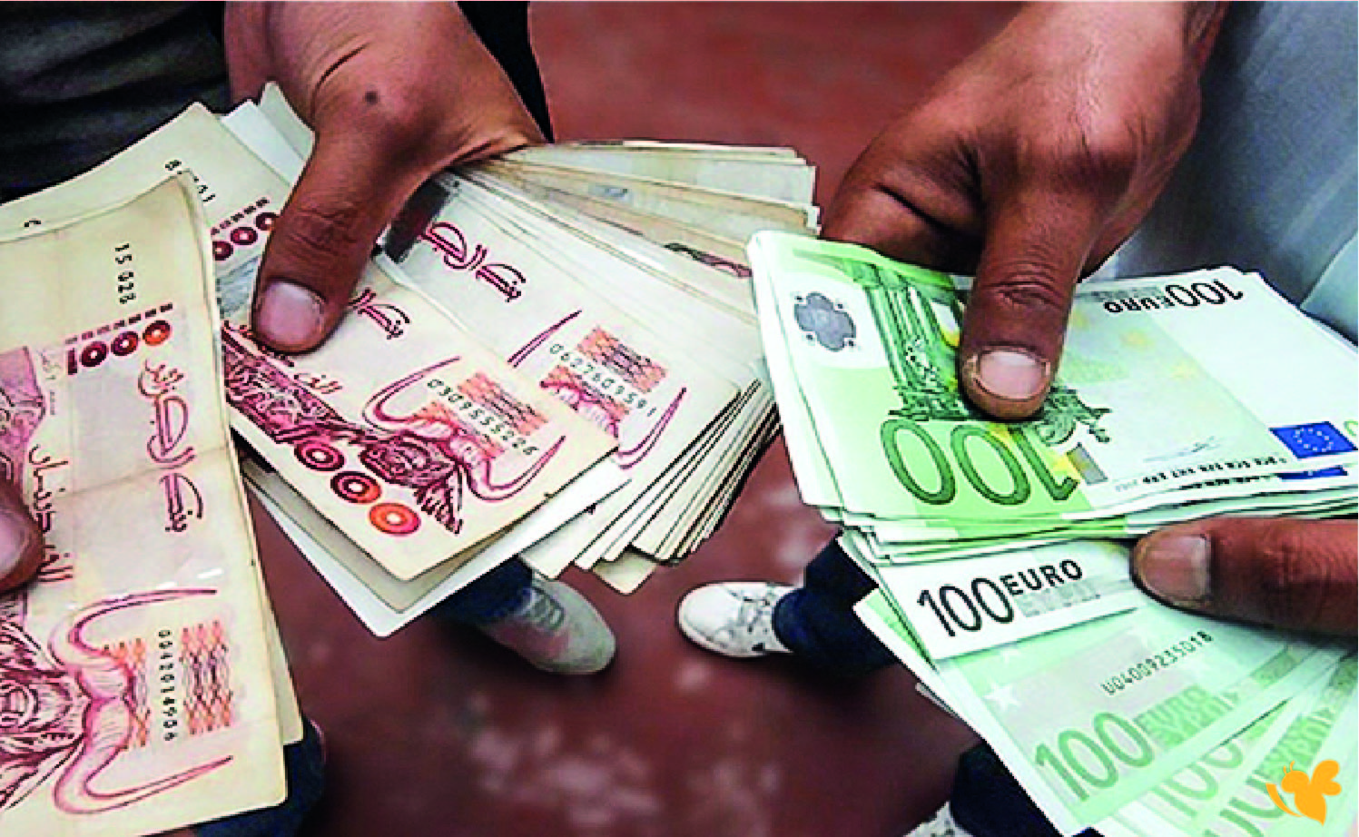 أسعار صرف الدينار الجزائري مقابل العملات الأجنبية اليوم الخميس 25 ديسمبر