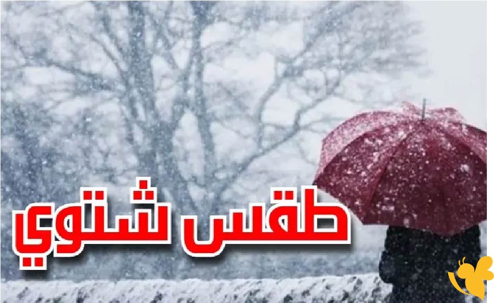 حالة الطقس اليوم في اليمن وتفاصيل الأجواء بالمحافظات