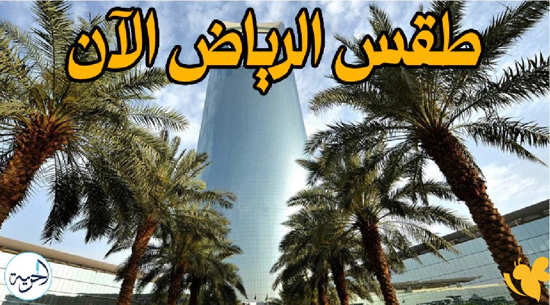 حالة الطقس في السعودية الخميس: أمطار رعدية ورياح شديدة وأمواج عالية بالبحر حالة الطقس في السعودية الخميس: أمطار رعدية ورياح شديدة وأمواج عالية بالبحر