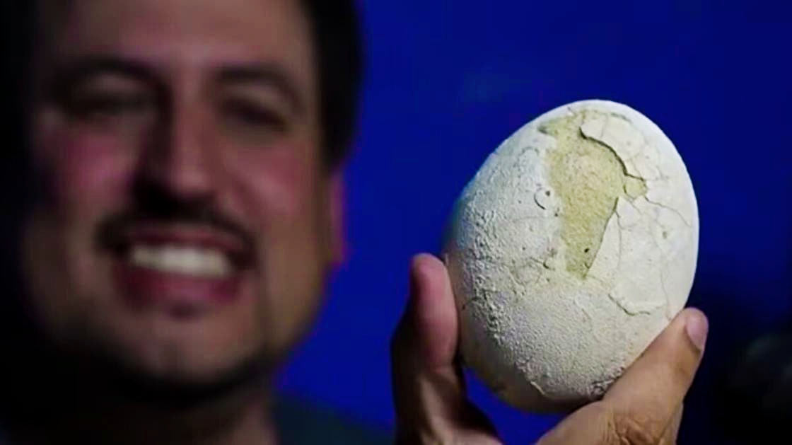 اكتشاف نادر في الأرجنتين: العثور على بيضة ديناصور محفوظة بالكامل عمرها 70 مليون سنة اكتشاف نادر في الأرجنتين: العثور على بيضة ديناصور محفوظة بالكامل عمرها 70 مليون سنة