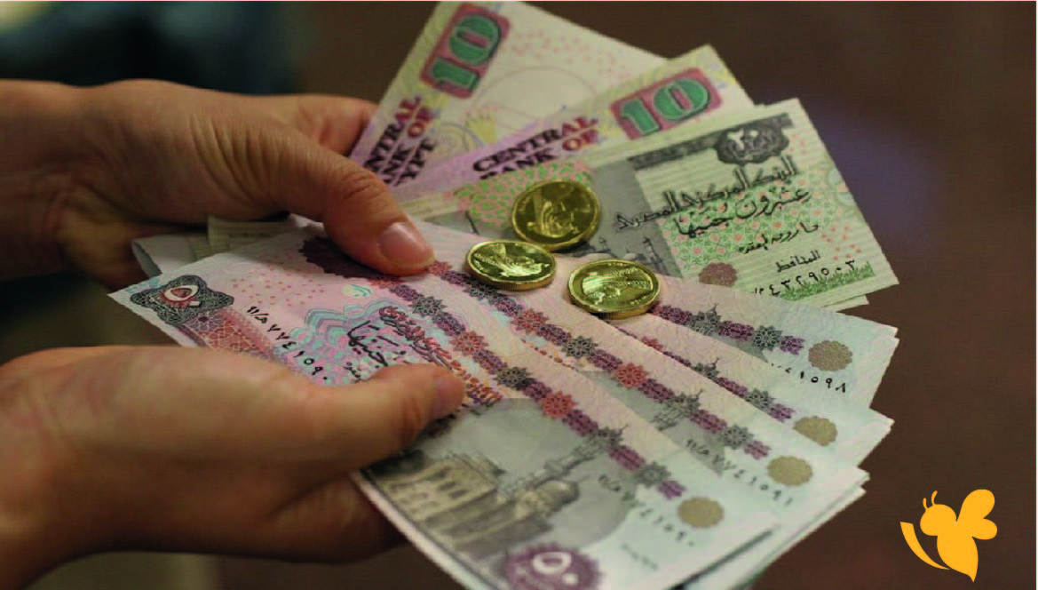 استقرارًا نسبيًا في السعر الرسمي للبنوك..للجنية المصري مقابل الدولار اليوم الاحد 26 أكتوبر