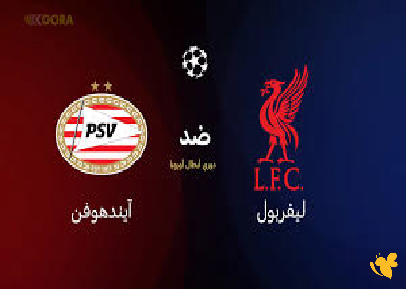 kora online 365 شاهد مباراة ليفربول ضد آيندهوفن في دوري أبطال أوروبا
