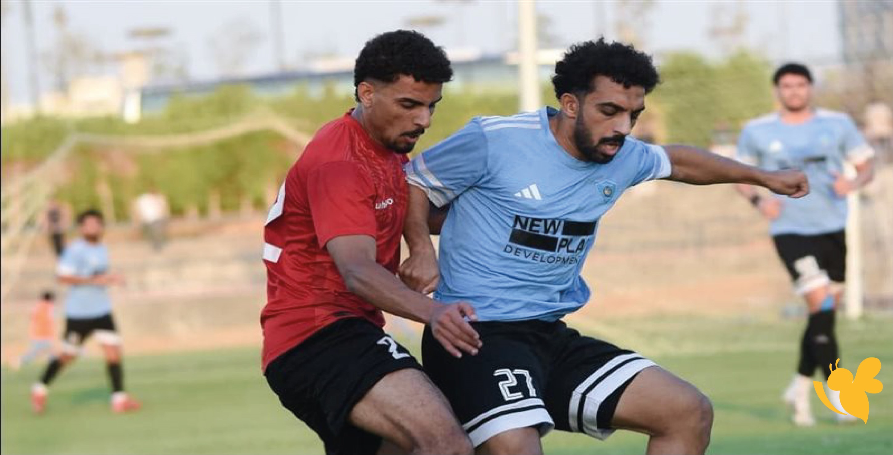 Live online شاهدوا مباراة غزل المحلة ضد مالية كفر الزيات اليوم الودية 2026