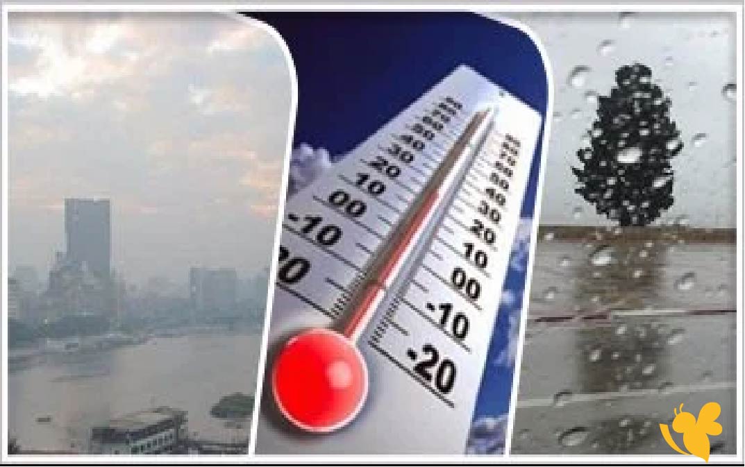 طقس الغربية اليوم الخميس.. أجواء معتدلة نهارًا وتحذيرات من الشبورة