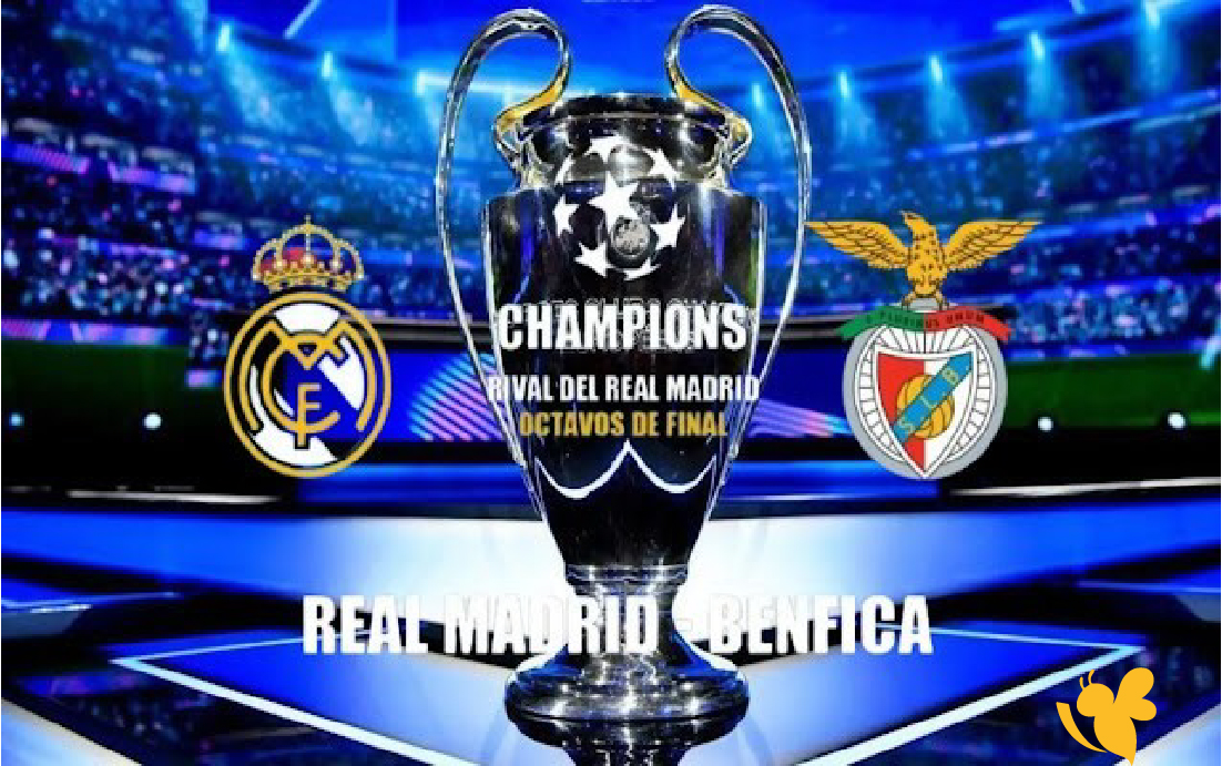 لا تفوتوا المواجهة النارية شاهدوا اليوم مباراة ريال مدريد ضد بنفيكا في دوري أبطال أوروبا مباشرة وحصريًا.2026