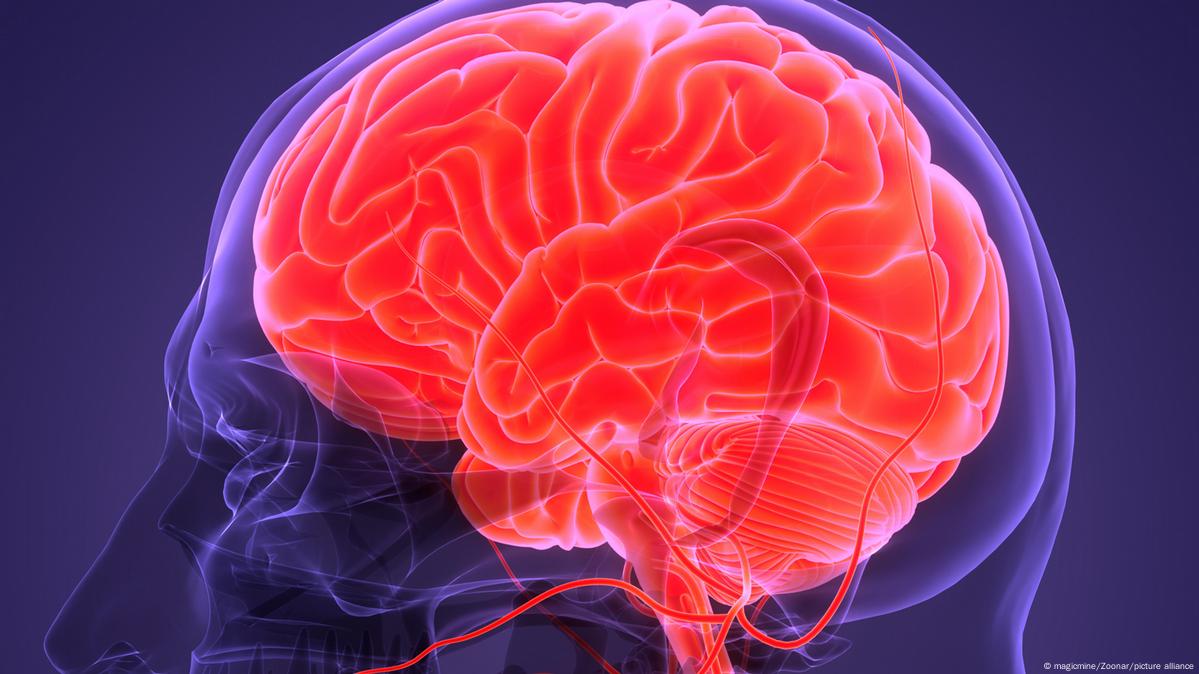 أفضل العادات اليومية لتقليل خطر الإصابة بالخرف