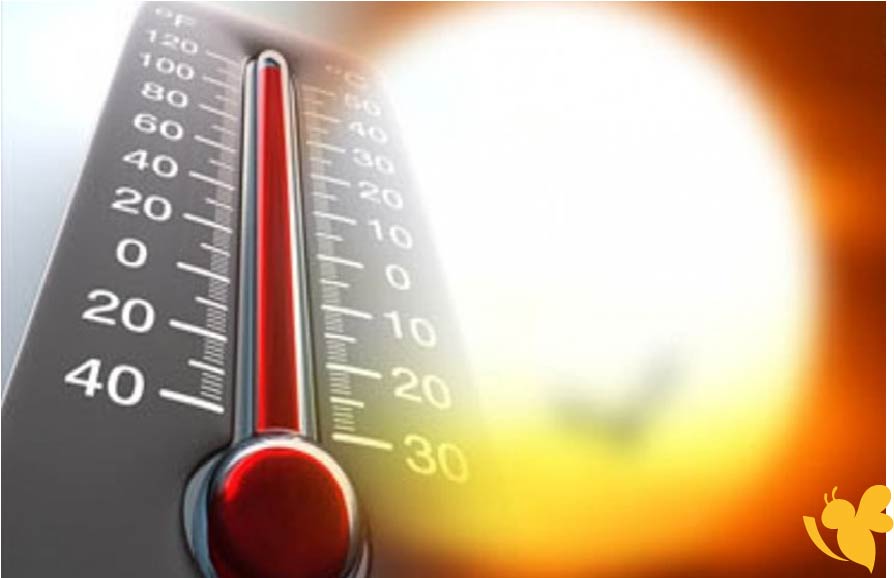 طقس السعودية اليوم: اضطرابات جوية تطال عدة مناطق