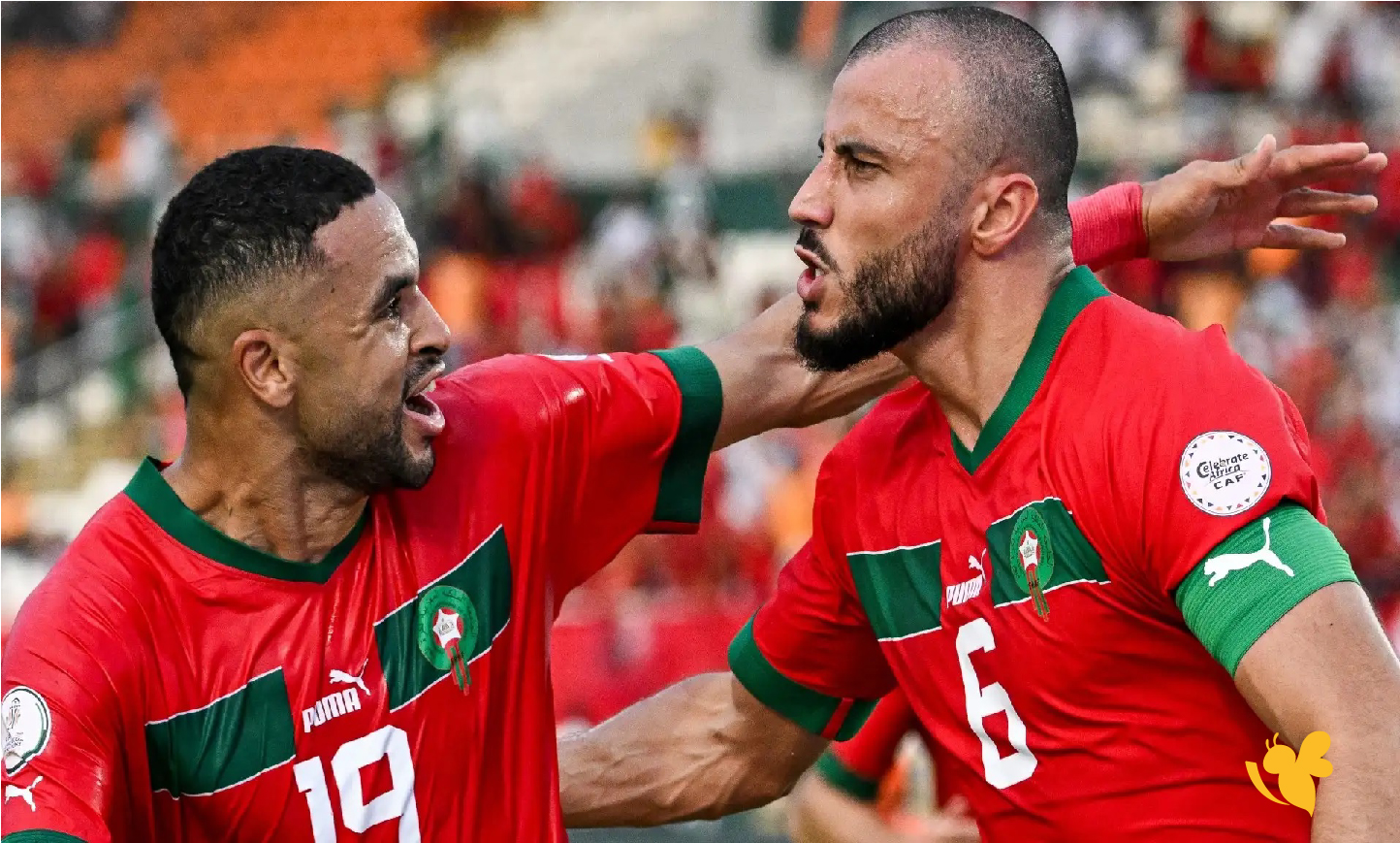 live online شاهد مباراة المغرب ضد زامبيا اليوم&nbsp;في كأس أمم أفريقيا&nbsp;