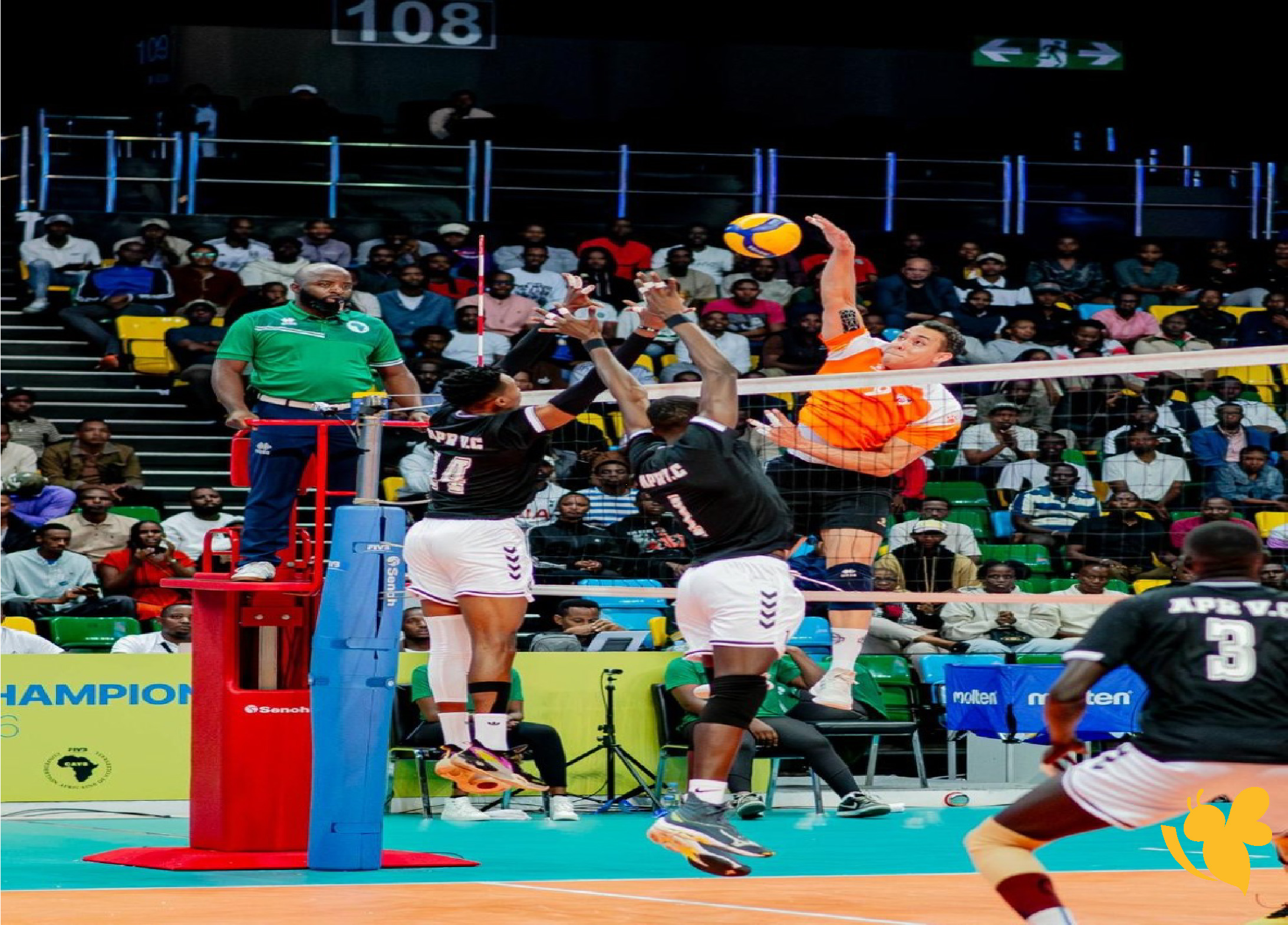 ترقبوا بث مباشر لمباراة بتروجت ضد مينا الكاميروني في بطولة إفريقيا للكرة الطائرة 2026