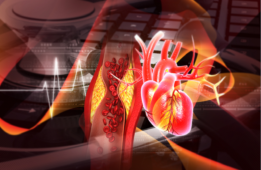 اكتشاف جزيء جديد يساعد في تعافي القلب بعد النوبات القلبية