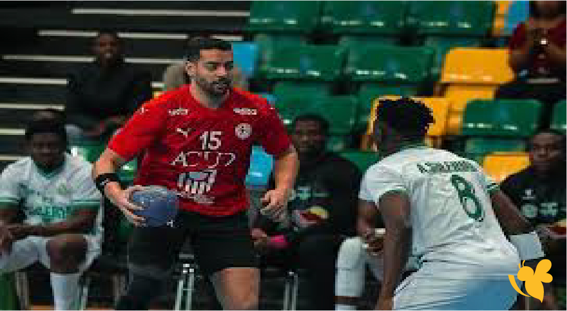 شاهد البث المباشر اليوم المباراة مصر وتونس نهائي كأس أمم إفريقيا لكرة اليد