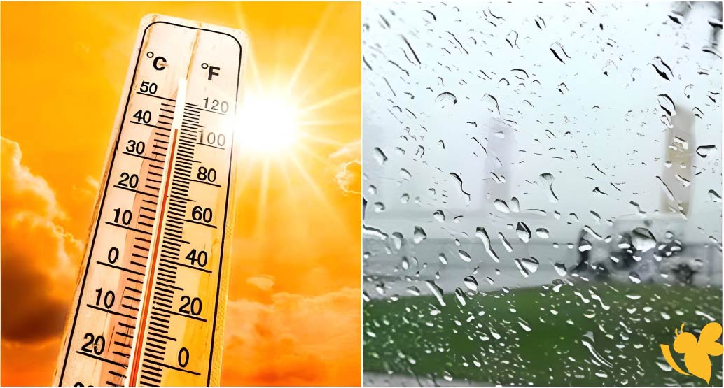 طقس اليوم في المملكة: رياح مثيرة للأتربة وأمطار رعدية على الرياض ونجران