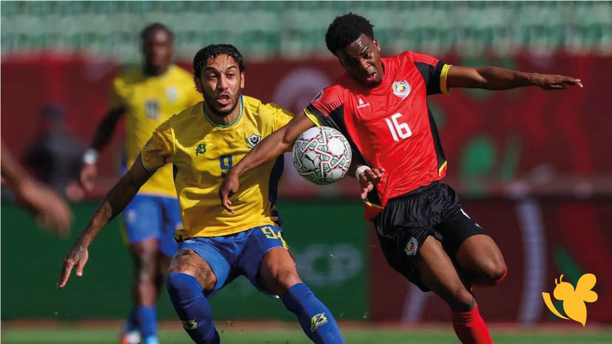 شاهد البث المباشر لمباراة الكاميرون ضد موزمبيق اليوم لكأس أمم أفريقيا 2025